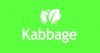 Kabbage Teams Up with Ingo Money to Disburse SMB Loans Within Minutes