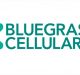 Verizon Purchasing Kentucky-Based Bluegrass Cellular