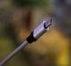 EU Standardizes On USB-C For Device Charging, Apple Most Impacted